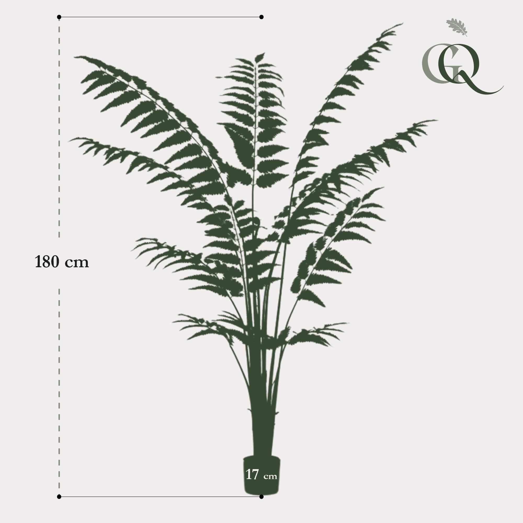 Fougère en Cuir artificiel - Rumohra Adiantiformis