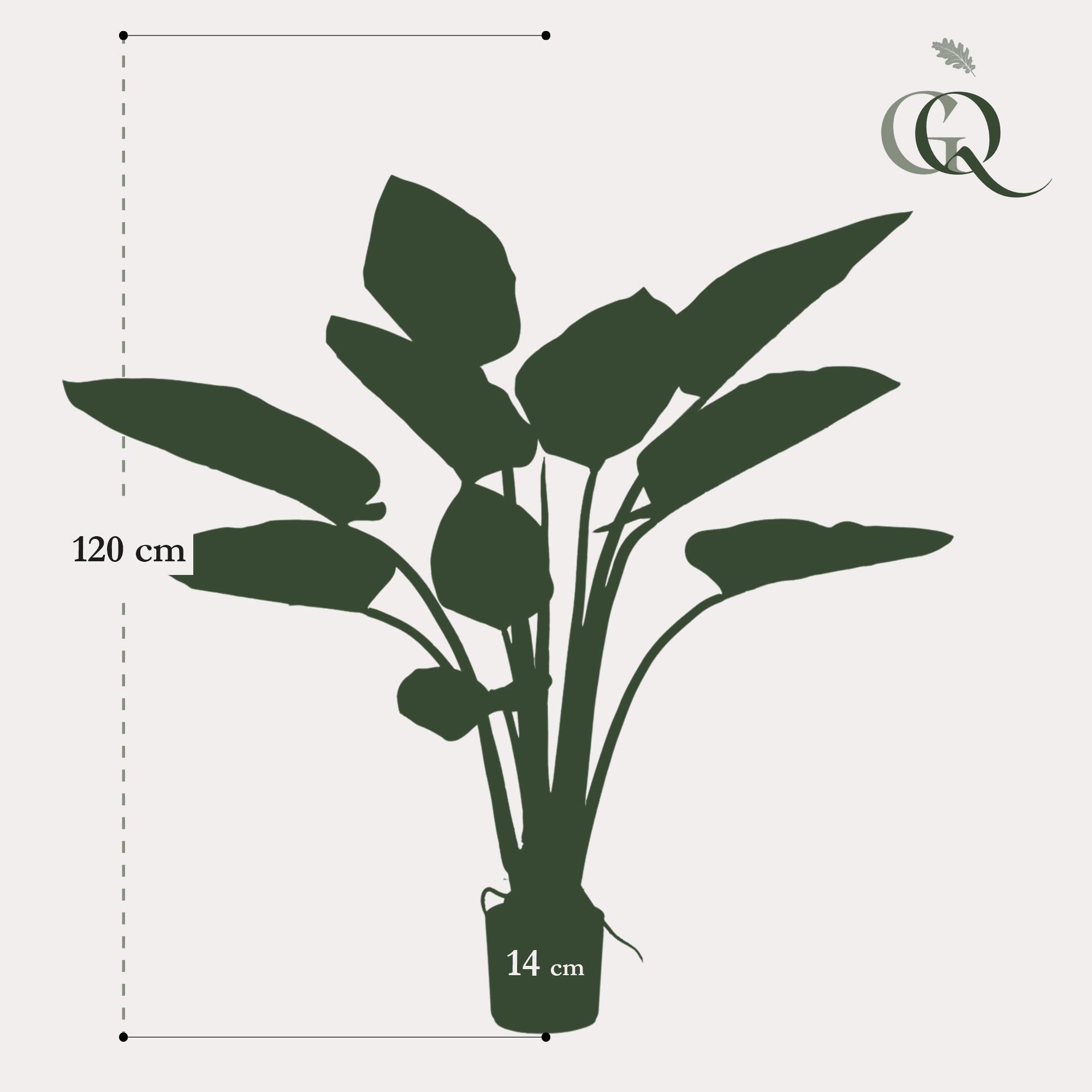 Philodendron artificiel