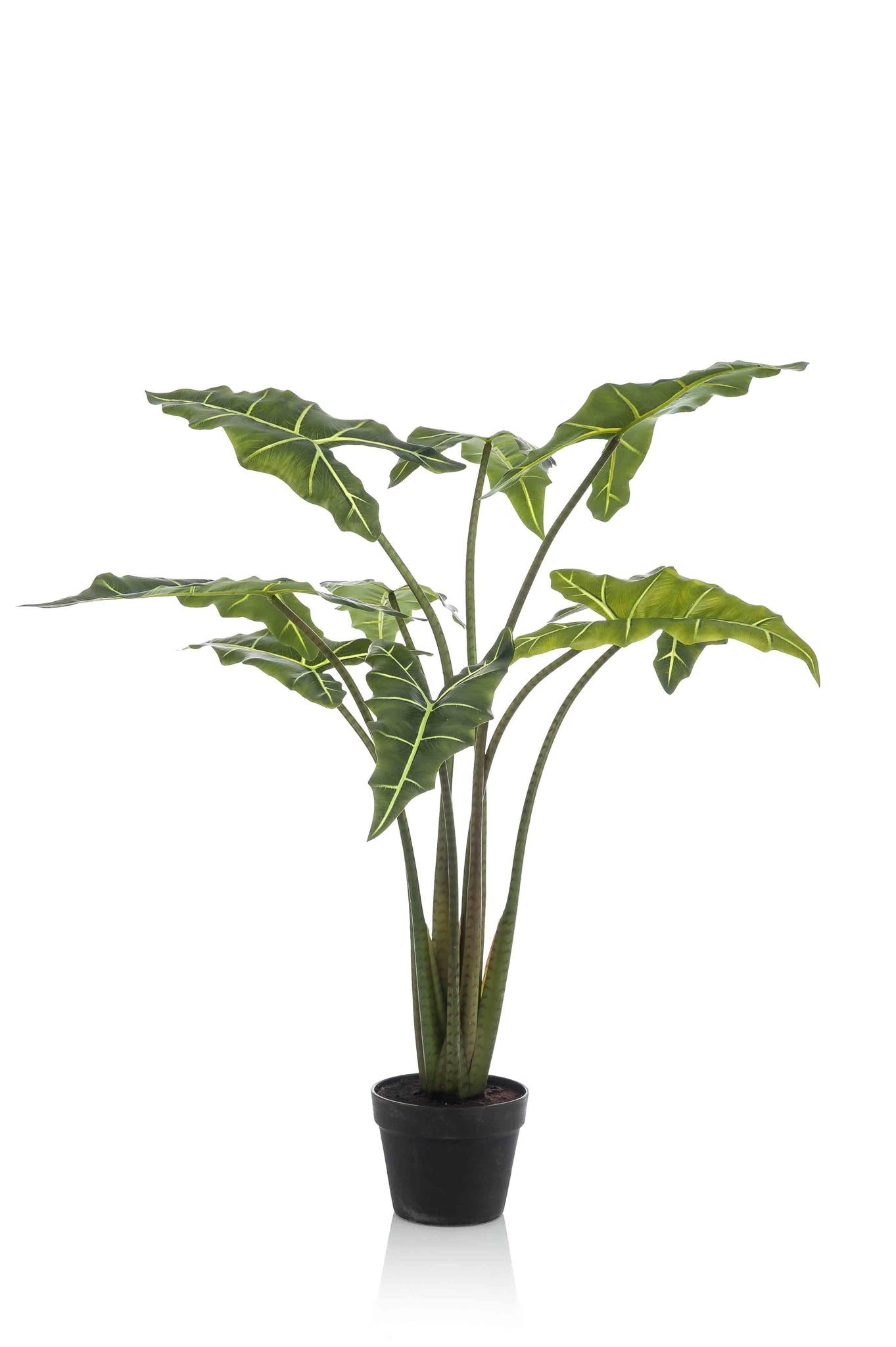 Alocasia Frydek artificielle (oreille d'éléphant)