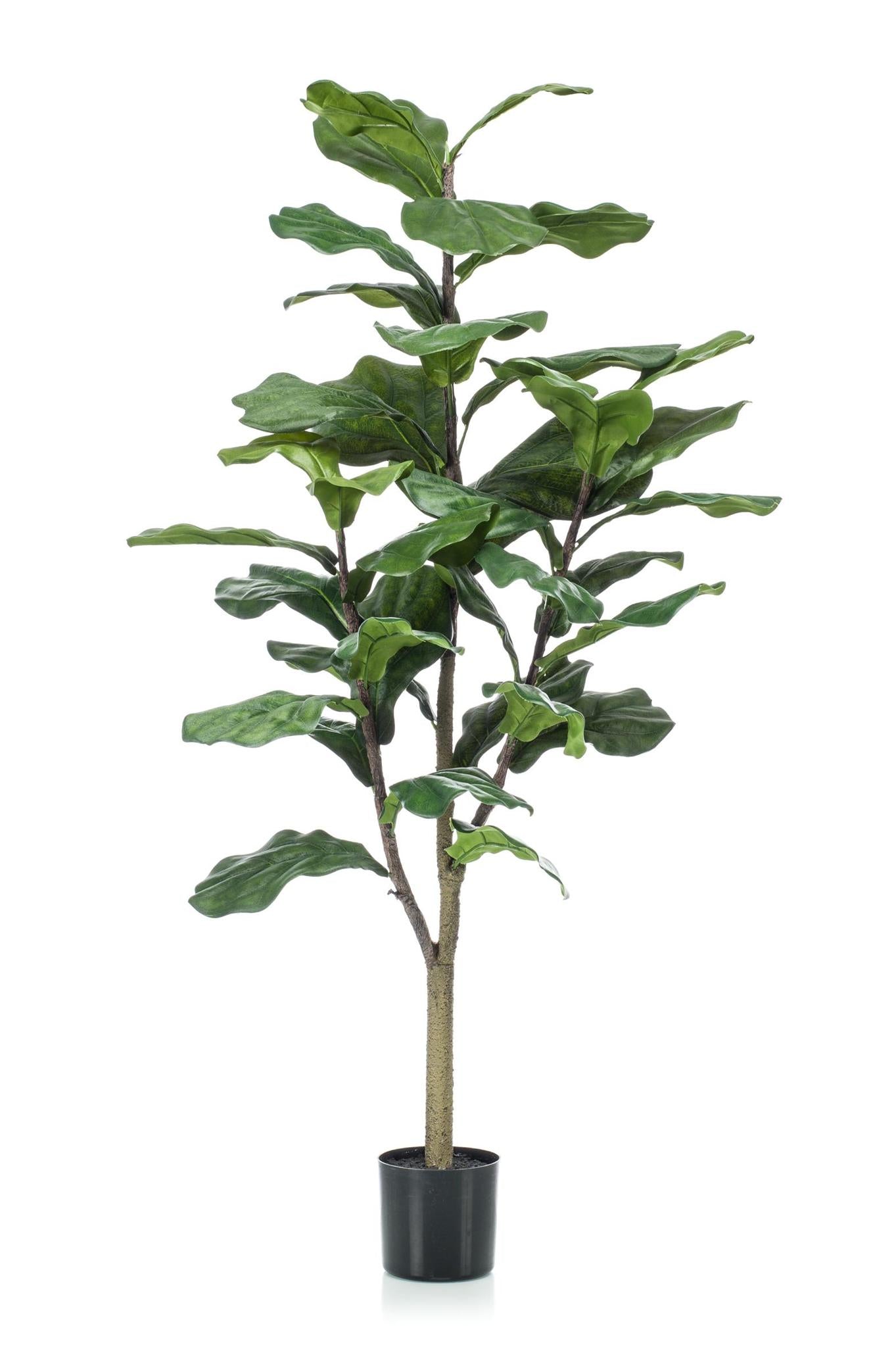 Künstliche Ficus Lyrata (Geigenfeige)