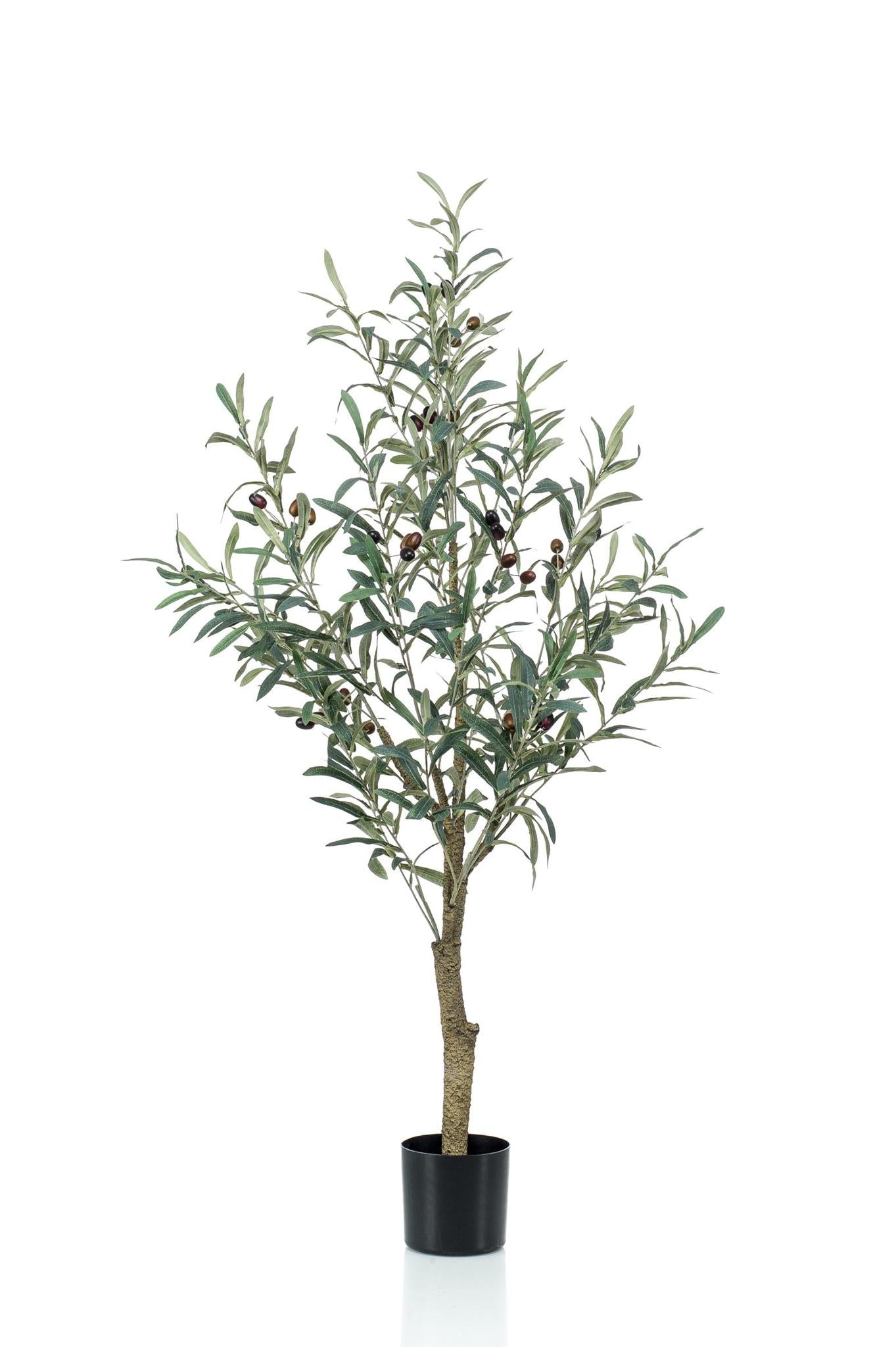 Olivenbaum künstlich