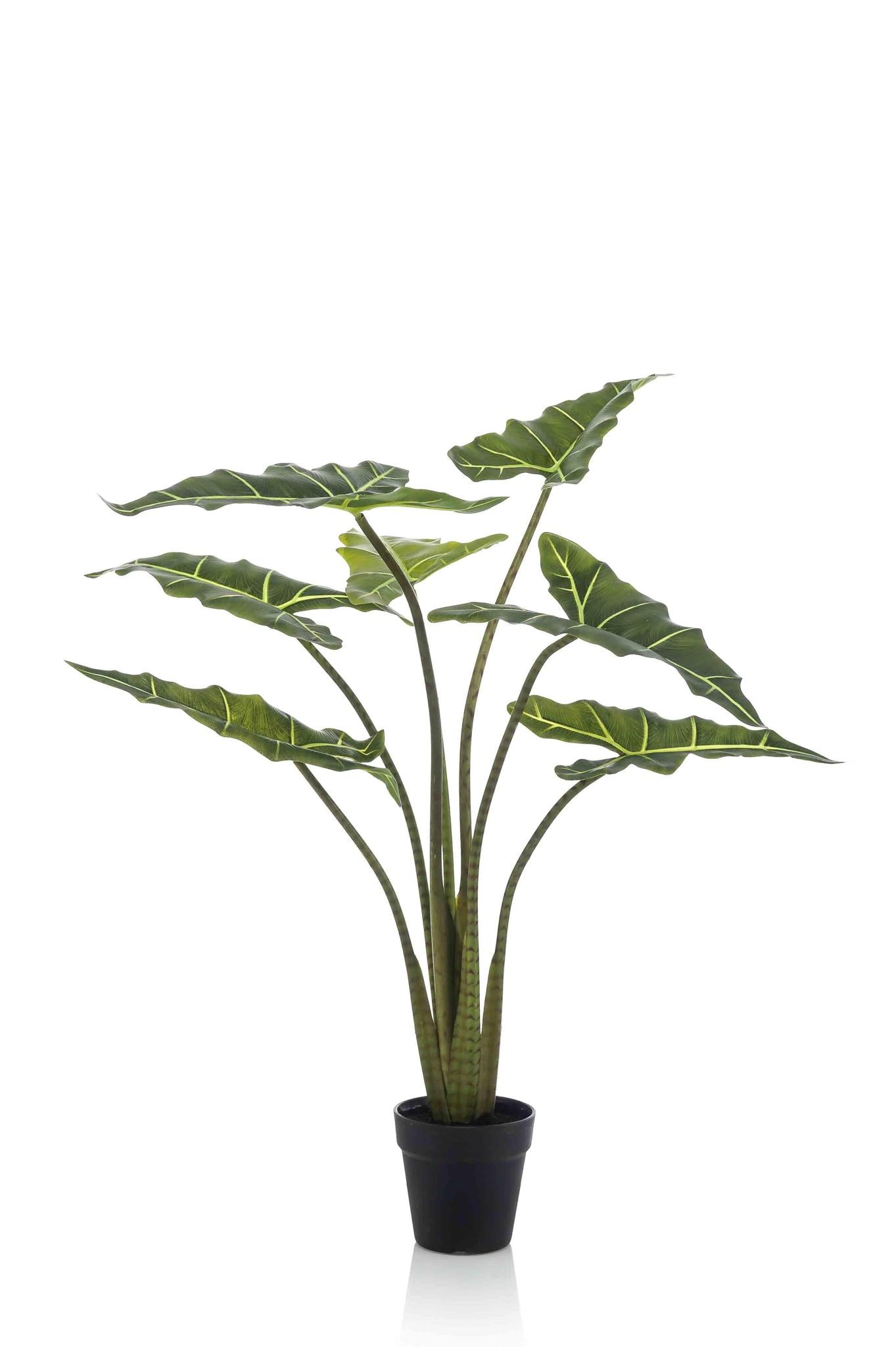 Künstliche Alocasia Frydek (Elefantenohr)