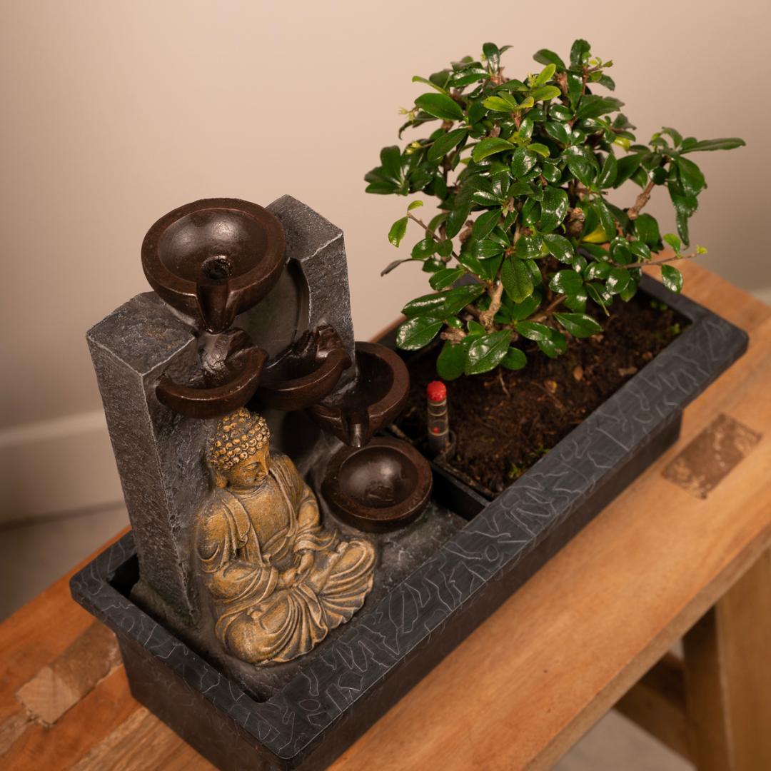 Bonsai mit Wasserfall - Buddha - Urbangreen Store