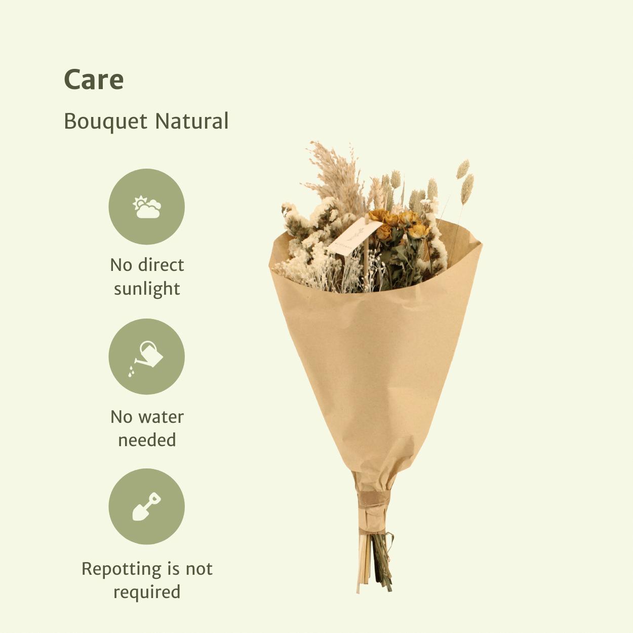 Bouquet Natural - Trockener Strauß bestellen