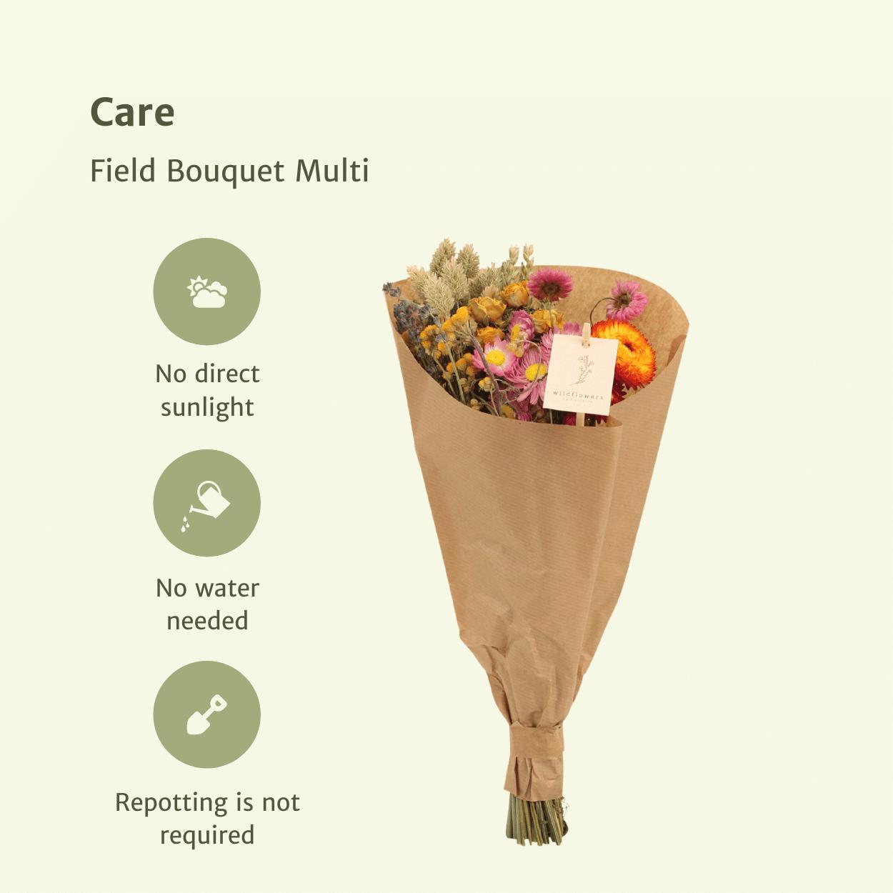 Kleiner Multi Bouquet - Trockener Strauß bestellen