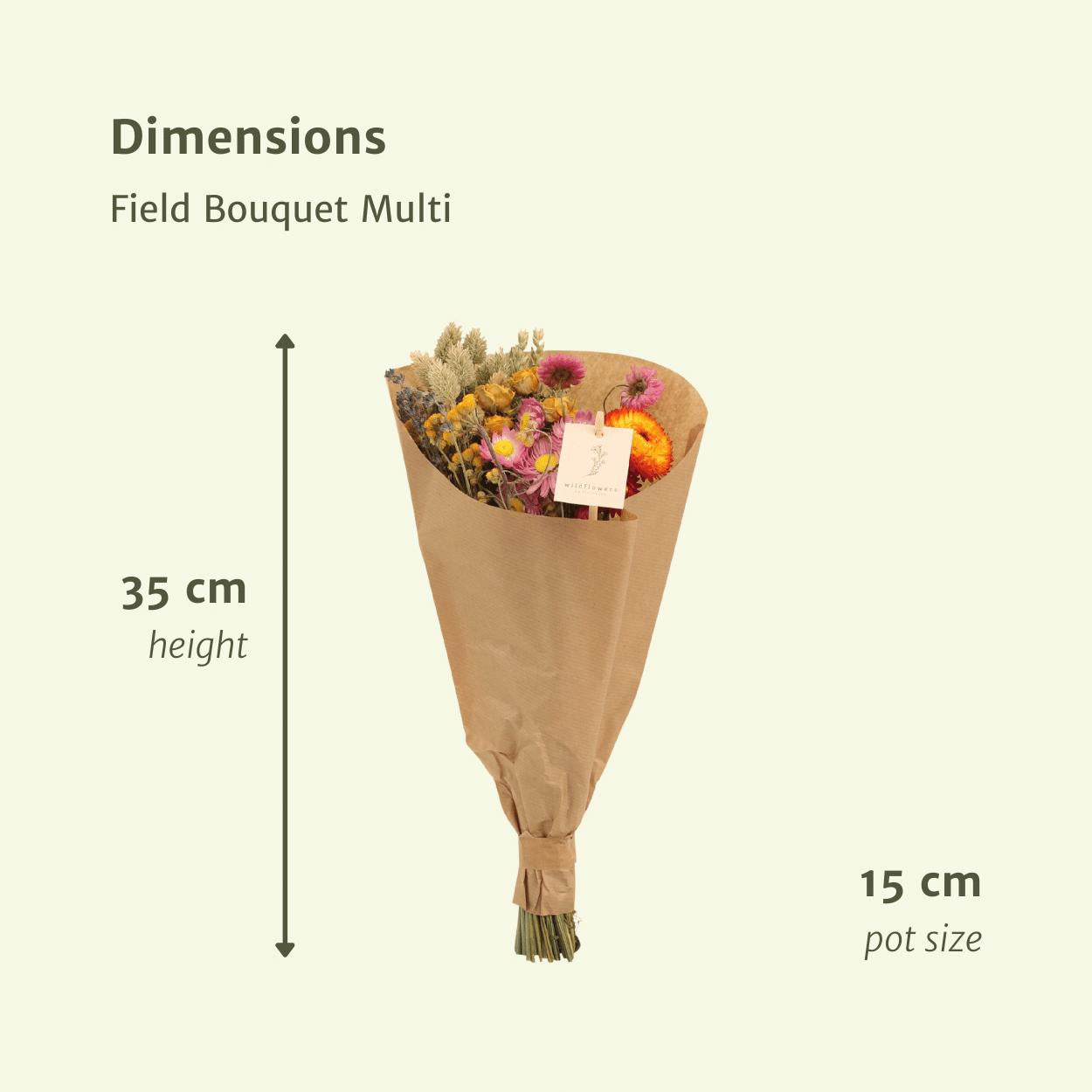 Kleiner Multi Bouquet - Trockener Strauß kaufen