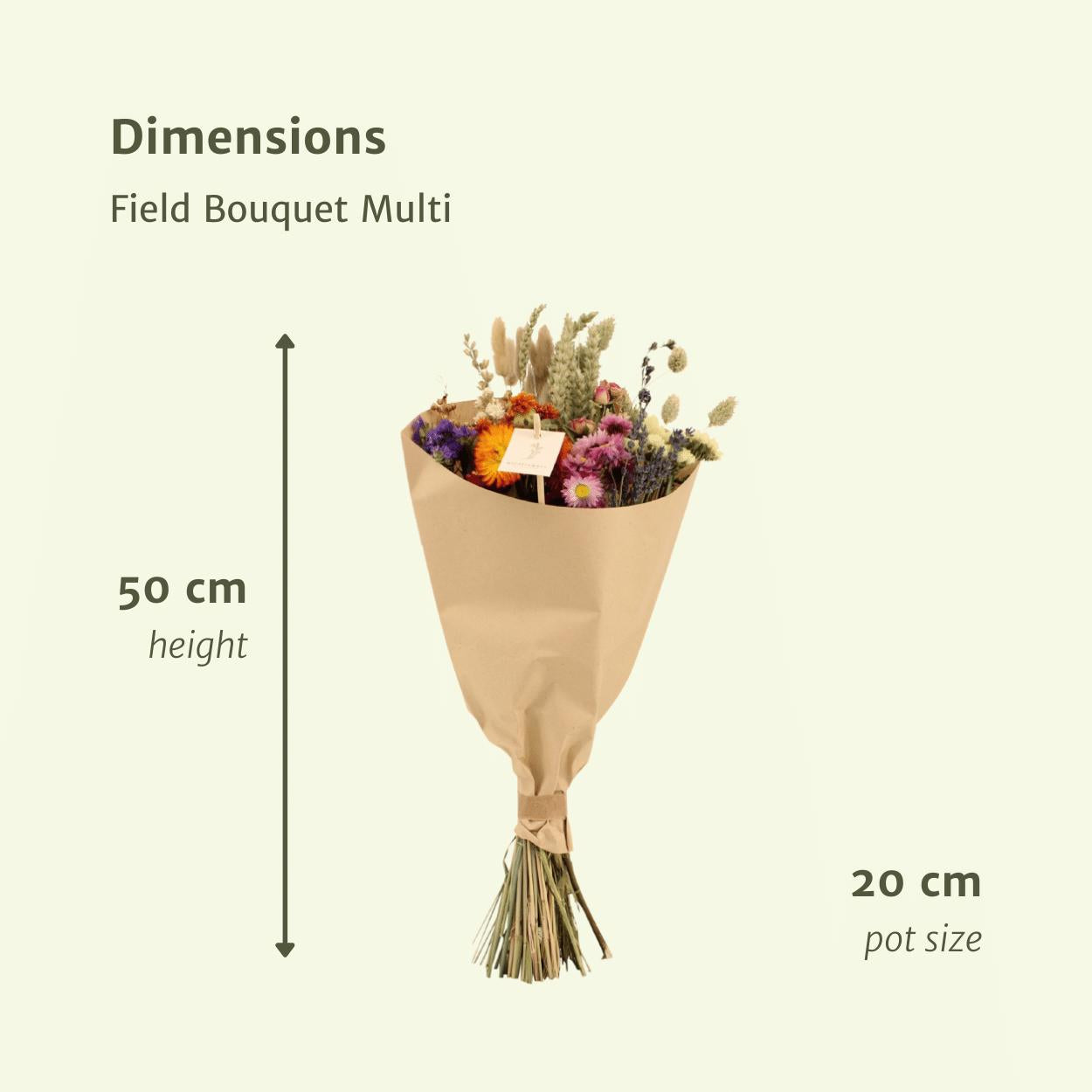 Medium Multi Bouquet - Trockener Strauß kaufen