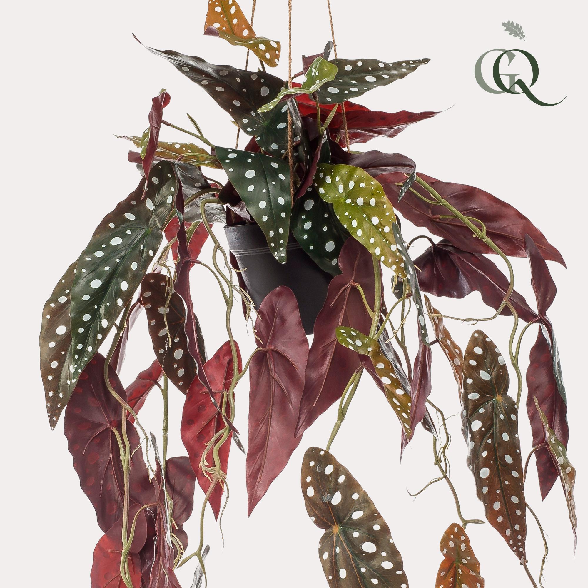 Künstliche Begonia Maculata kaufen