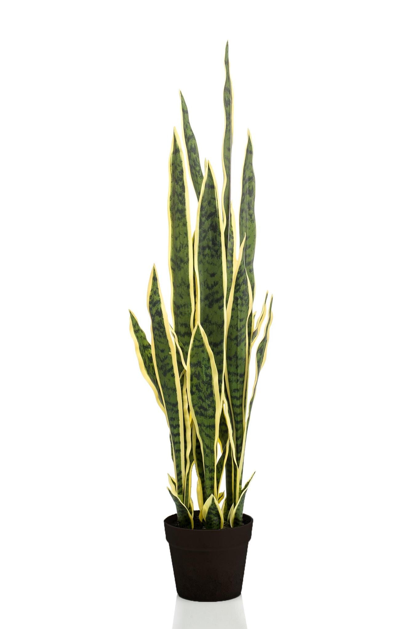 Kunstpflanze Sansevieria Trifasciata kaufen