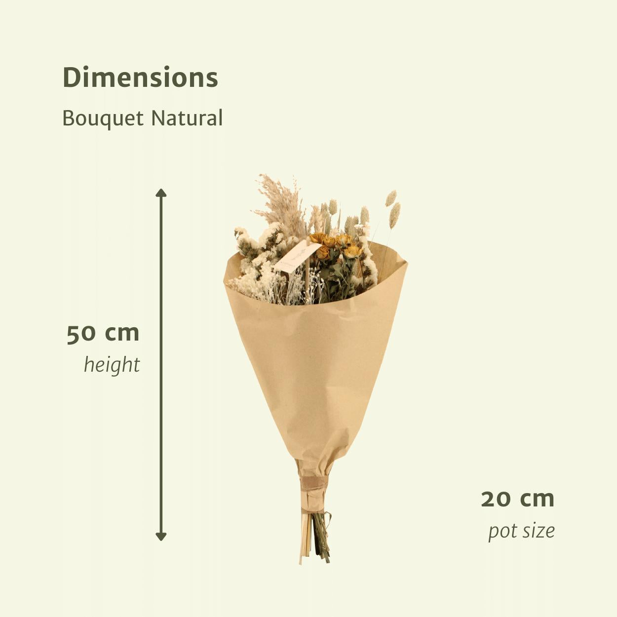 Bouquet Natural - Trockener Strauß kaufen