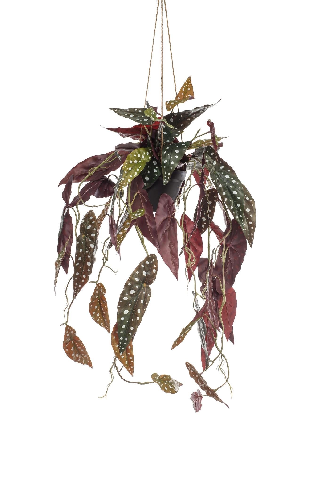 Künstliche Begonia Maculata kaufen online