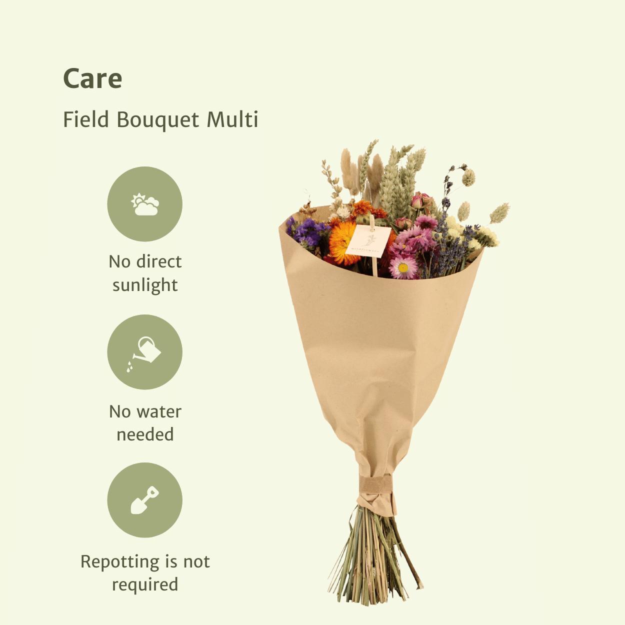 Medium Multi Bouquet - Trockener Strauß bestellen