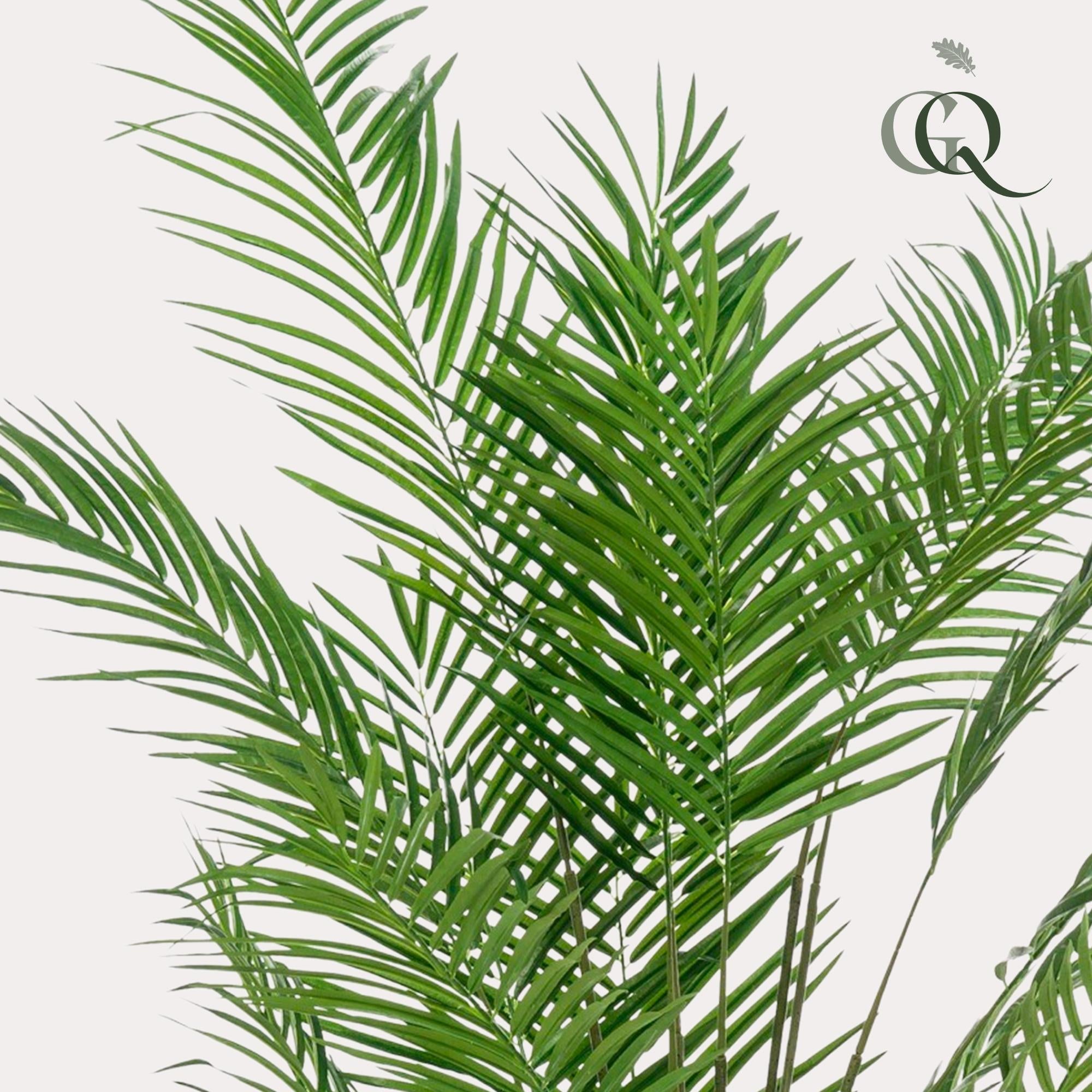 Künstliche Areca-Palme Größe