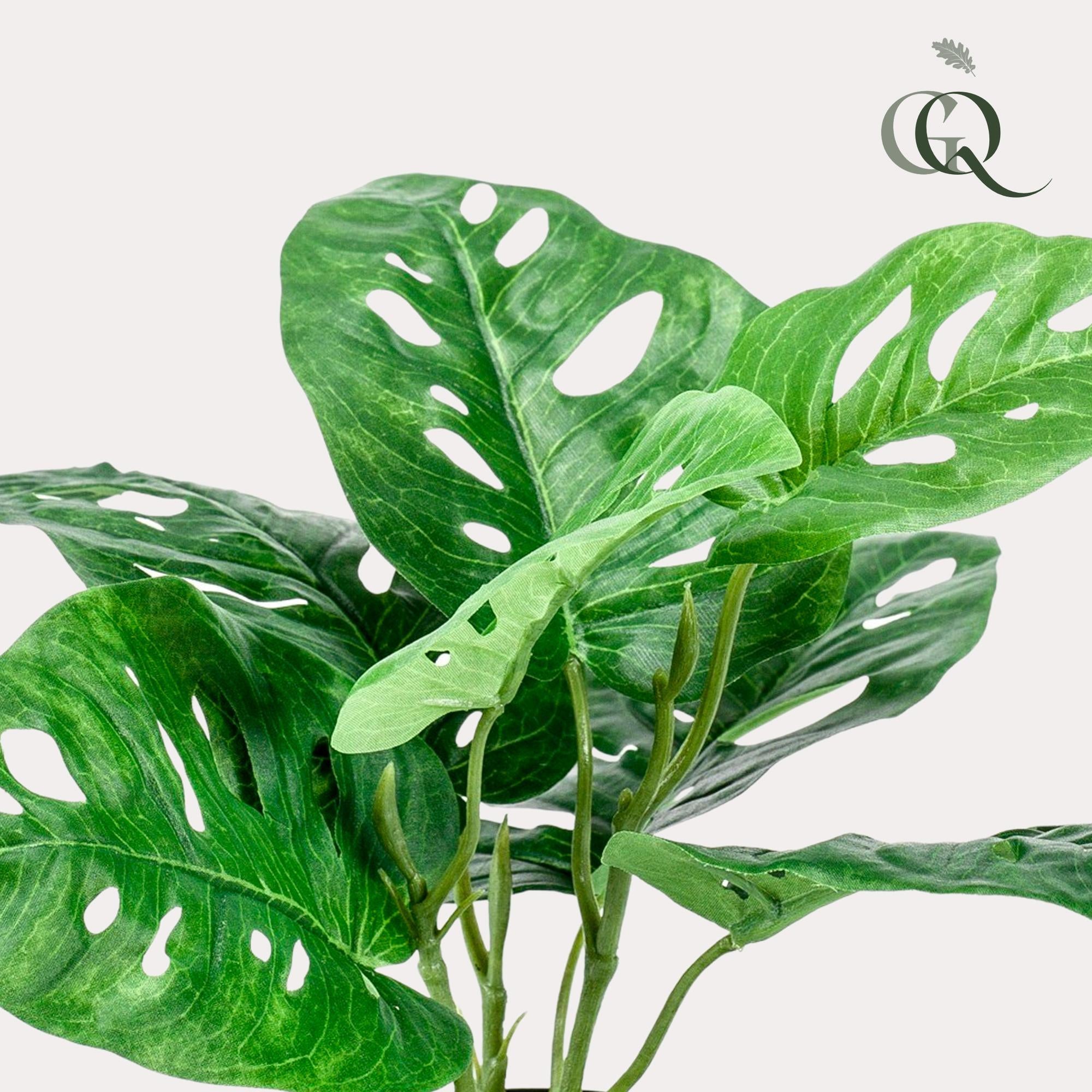 Künstliche Pflanze Fensterblatt Monstera 'Monkey Leaf' bestellen